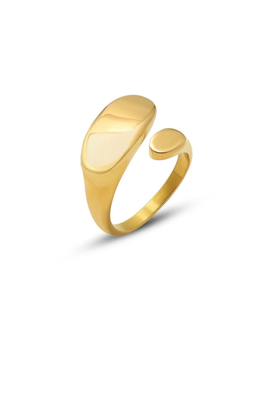 CURVE RING (Gold & Silver)